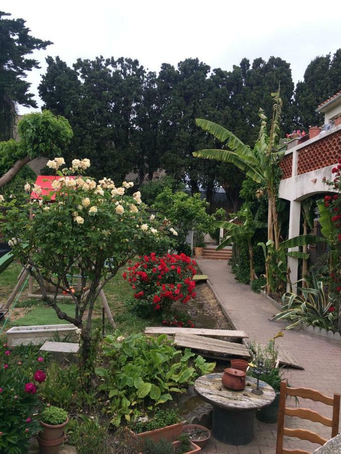 Willa Haras Des Arcades Perpignan Zewnętrze zdjęcie
